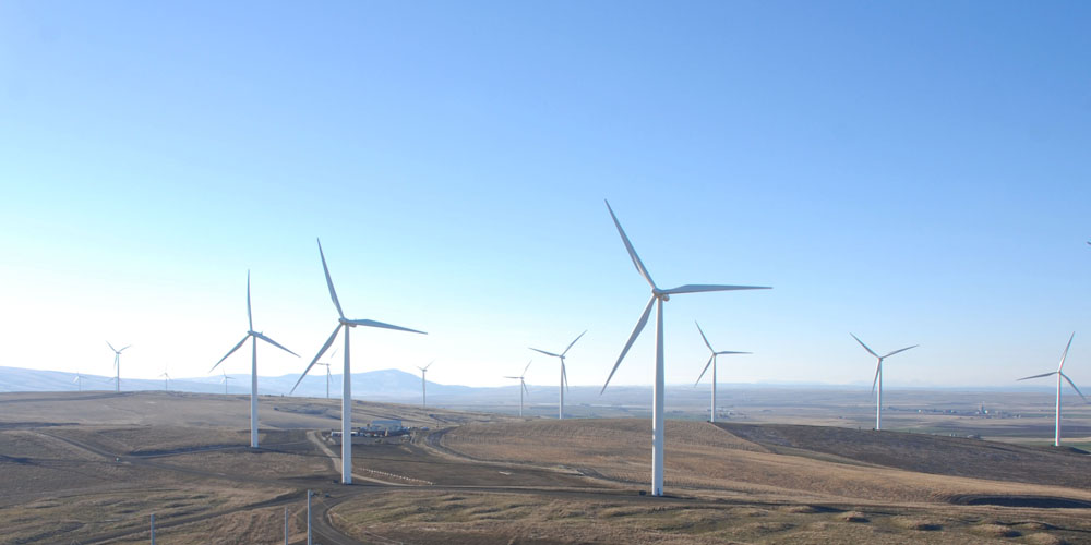 风力发电场开发的风力资源评估软件- WindFarmer:分析师