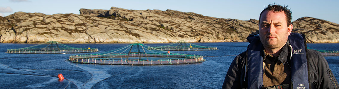 水产养殖管理委员会负责任养殖海产品的标准